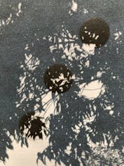 snow (tree)  *from group exhibition "Linocut" at Gallery Nomart